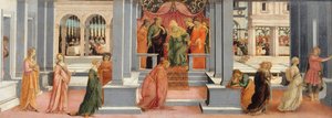 Ester scelta da Assuero